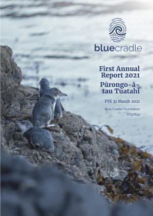 Blue_Cradle_Annual_Report_2021_final2