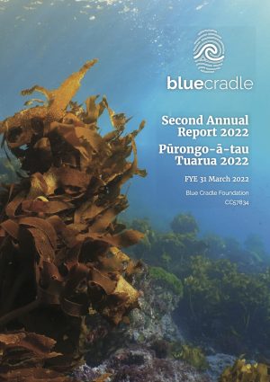 Blue_Cradle_Annual_Report_2022_final